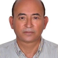 Mustafa Shriem, Consultants