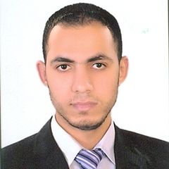 Abdelhalim Shaban Abdelhalim Mohammed, Senior General Accountant 