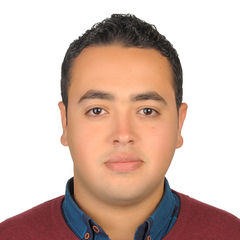 Ahmed Nageh, Site accountant