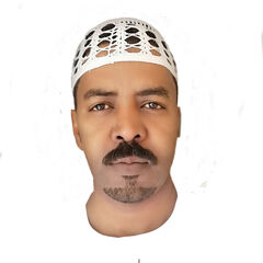 عبدالله عبد السلام, محاسب ومراجع