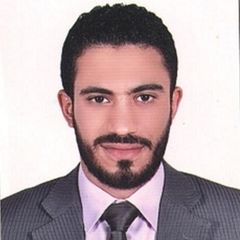 Mahmoud Sayed Mohamed  Bayomi