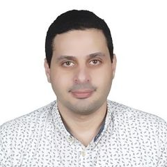 Mahmoud Mohamed Farag El bayoumi, Technical Consultant