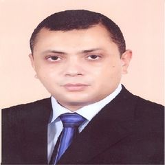 Sameh Mohamed AbdelAziz Zakaria, Senior Information Systems Engineer