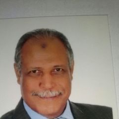 Mohamed Abdul-fattahm Ahmede Moawad, نائب المدير العام والمدير المالي