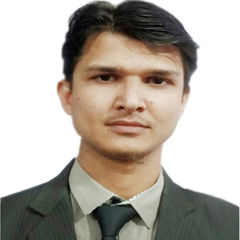 Shahzeb Shaikh, Accountant