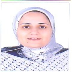 Marwa Bebars, Translation Team Lead