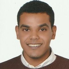 Ahmed Hamza Ahmed Abdullah  Elkhatib