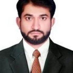 Waqar Hussain, Accountant