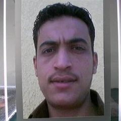 El Shazly_abdelbasset_ahmed_mohamed Ahmed