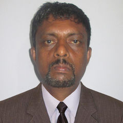 H.M.W.D. Herath, Consultant Highway Engineer