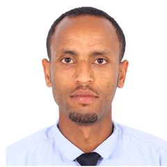 Girma Birhanu Kibret , Aircraft Project Engineer ( project Manager)