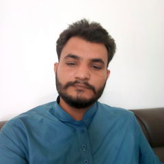 Zulfiqar Ali  Hingoro