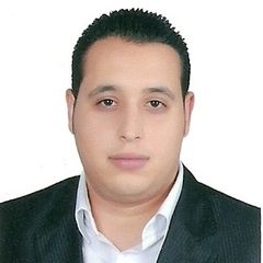 mohamed ali arafa, Government Relation Officer ( PRO )