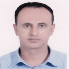 أحمد فتحي محمود محمد, Marketing Specialist