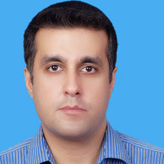 ماجد خان, Senior Functional Consultant