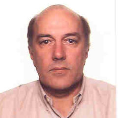 لويس فيريرا, Global Account Manager