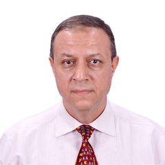 MOHAMED MOKHTAR TAH MOHAMED, (Senior Technical Support)