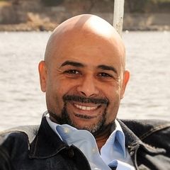 احمد رامي غالي, Projects Director