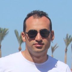 Ahmed Allam, Training Supervisor