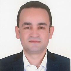 عبدالحليم صبرى عبدالحليم فراج, مدير مراجعة داخلية 
