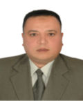 mohamed abd elrahman ragheb, نائب مدير مركز المعلومات