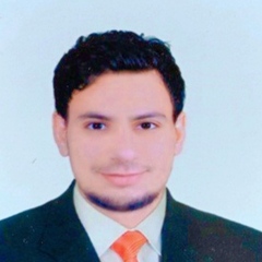 Mahmoud Mohamed  Wahba , MEP Design Engineer