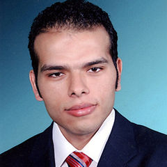 Ahmed Gamal Mukhtar Mohamed El-sayed Okda, Technical Analyst  
