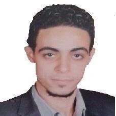 محمد محمود طلبة الغزالى, IT Manager IT Project Manager