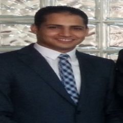 محمد أحمد الحسيني, Accountant