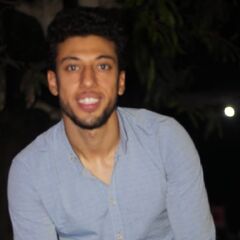 Amr Abdelhalim