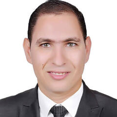 Mostafa Mohamed Abbas, محامي حر