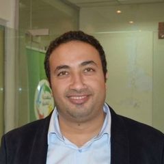 Mahmoud Samy, Senior J2EE and filenet developer