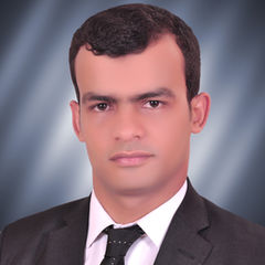 Mostafa Sabry Alsayed Hemeda, Senior Mechanical Engineer 