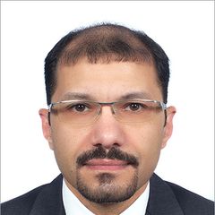 Wael Ibrahim, Chief Internal Auditor