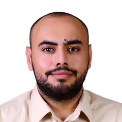 Sultan Qandil, Web Application Developer