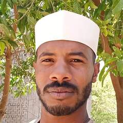Abobakr Mohammed