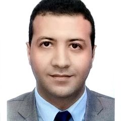 Mohamed Mahmoud Rezk, Legal Advisor