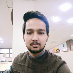Muhammad Usman  Anees