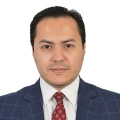 Rami Alrizik CPA, Finance Manager