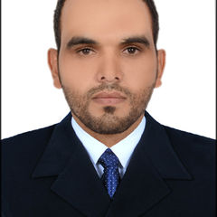 Ali Ibrahim Ali Mansour, accountant