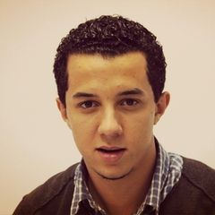 مصطفي عبد العظيم أيوب, PMO Engineer 
