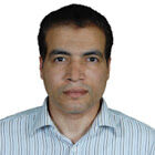 Saad eldien AbdElaziz, Senior Network Systems Engineer