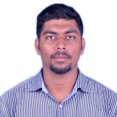 nelson arul raj, Project Manager