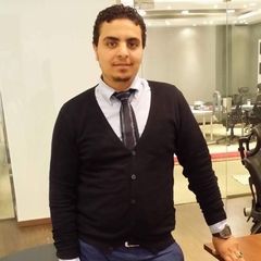 Mohamed  Gaber, chief accountant