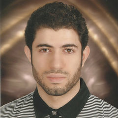 Adnan Issa, محلل بيانات ومطور