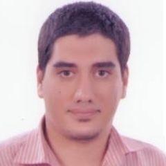 Mohammed Abdallah M. Abdel-Rehem, Egypt Development Team Mentor