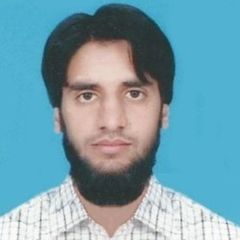 Muhammad Salman Hameed Rathore, HSSE Section Head