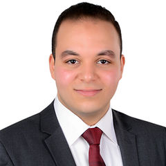 Amr Hamed Etman, Senior Accountant