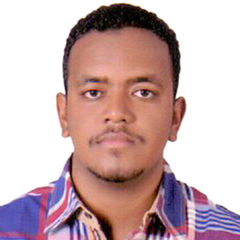 profile-مصطفى-فؤاد-يوسف-31100420