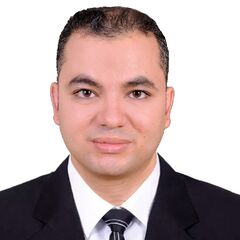 Sherif Hamouda, Financial Director